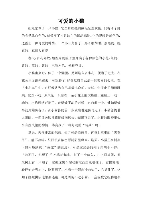 可爱的小猫(精编版)