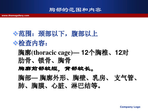 胸部体表标肋骨计数PPT课件