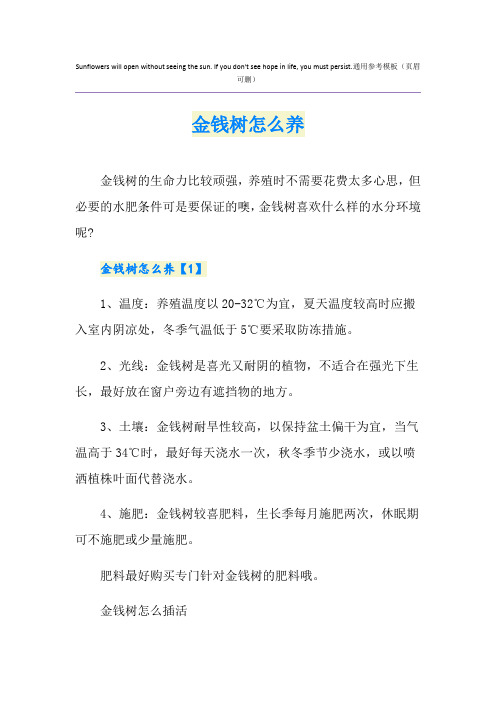 金钱树怎么养