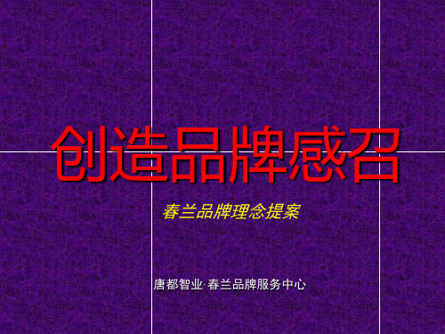 110春兰品牌理念提案