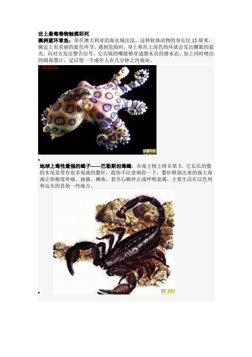 世上最毒毒物触摸即死