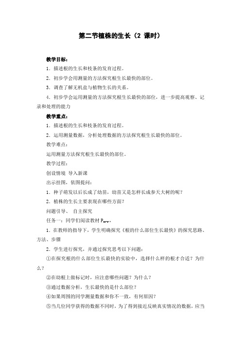 植株的生长教案3