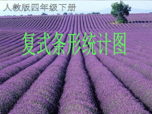 人教版小学数学四年级下册《复式条形统计图》课件