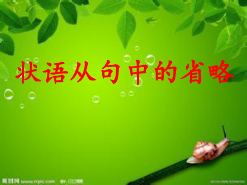 状语从句中的省略