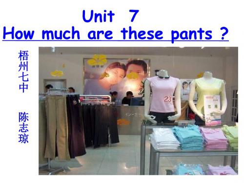 七年级英语How-much-are-these-pants课件1