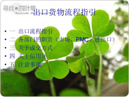 出口货物流程指引