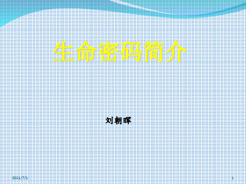 生命密码简介