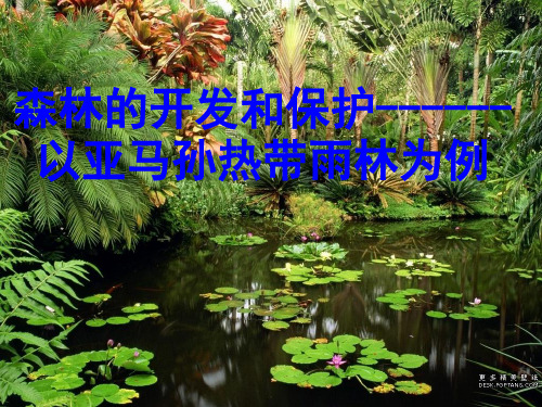 2.2森林的开发和保护——以亚马孙热带雨林为例1