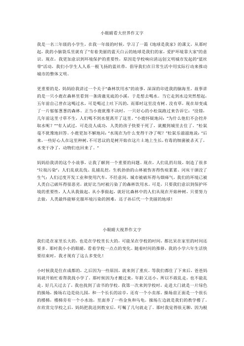 小眼睛大视界作文600字优选作文