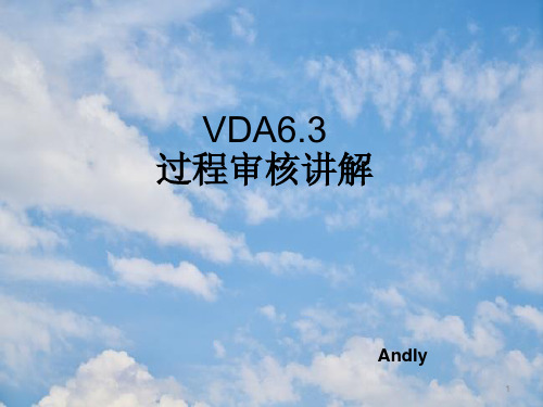 过程审核VDA6.3