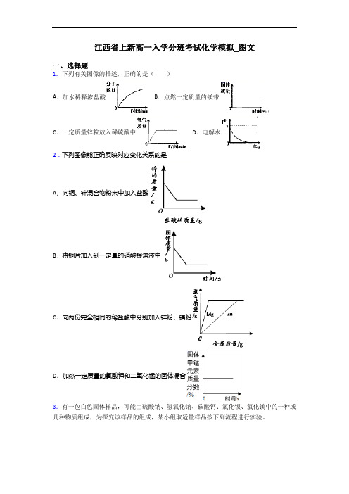 江西省上新高一入学分班考试化学模拟_图文