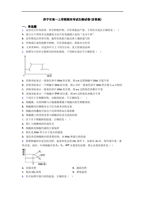 济宁市高一上学期期末考试生物试卷(含答案)