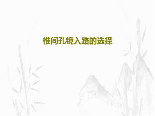 椎间孔镜入路的选择52页PPT
