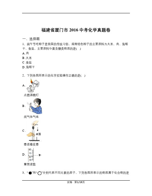 2016年福建省厦门市中考化学试卷(含解析)