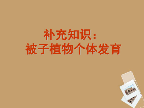 被子植物个体发育课件