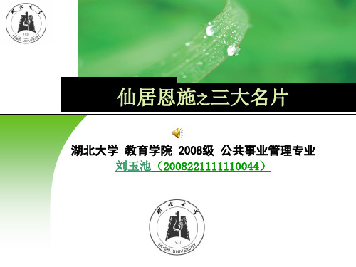 仙居恩施之三大名片.ppt