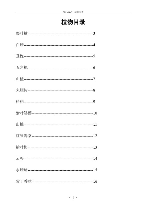 (完整版)新疆树种简介