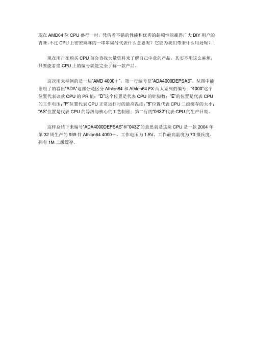 解读AMD 64位处理器编号和CPUid