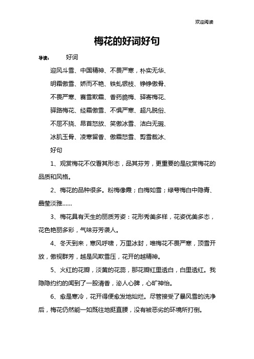 梅花的好词好句