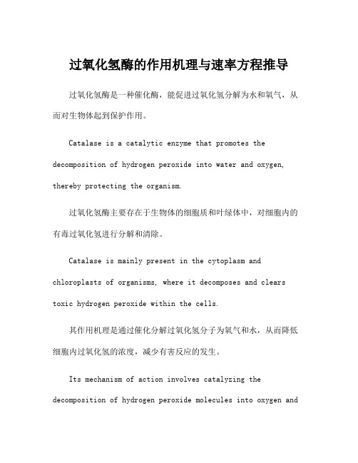 过氧化氢酶的作用机理与速率方程推导