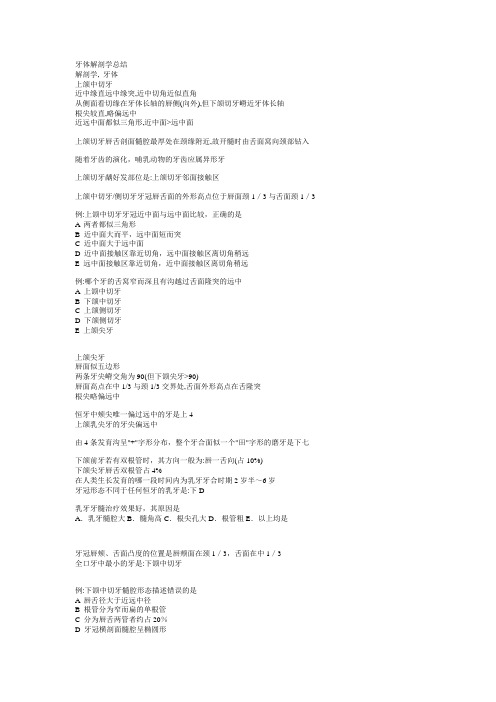 牙体解剖总结