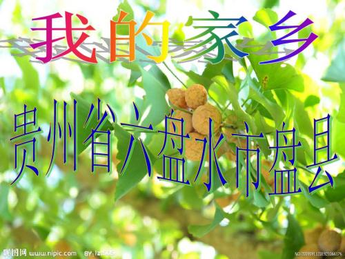 我的家乡盘县欢迎你!