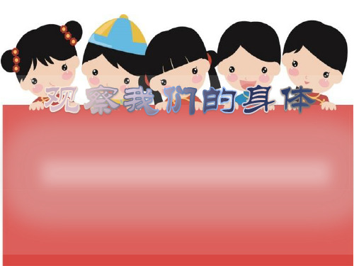 二年级下册科学课件-2.1 观察我们的身体-教科版(共18张PPT)