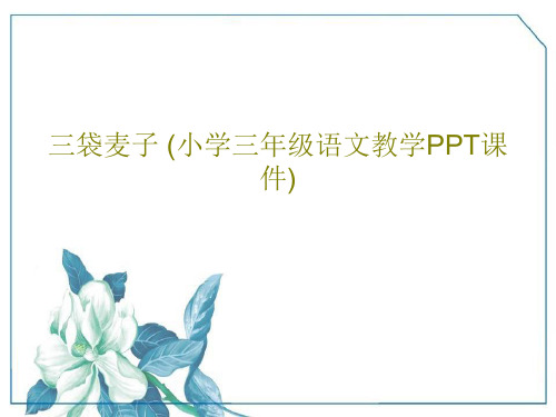 三袋麦子 (小学三年级语文教学PPT课件)共25页