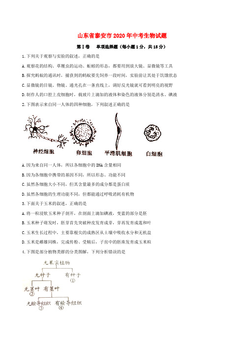 山东省泰安市2020年中考生物真题试题(含答案)