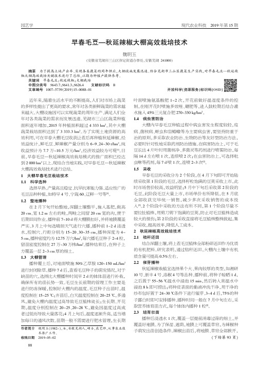 早春毛豆-秋延辣椒大棚高效栽培技术