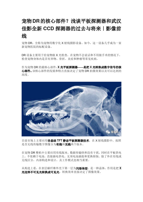 宠物DR的核心部件浅谈平板探测器和武汉佳影全新CCD探