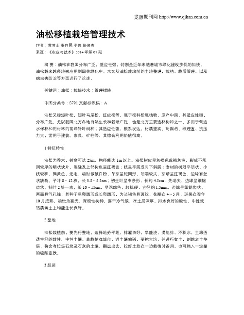 油松移植栽培管理技术