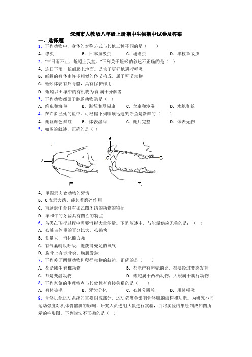 深圳市人教版八年级上册期中生物期中试卷及答案