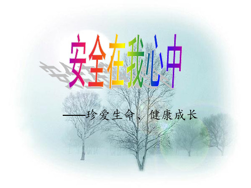 一年级《安全在我心中》主题班会ppt