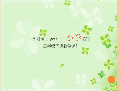 外研版小学英语五年级下册课件-M6U2 She visited the Tianchi LakePPT课件