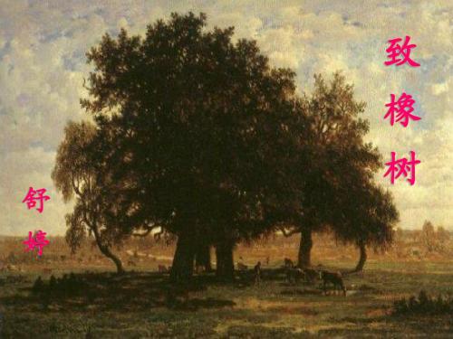 沪教版九年级语文(上)《致橡树》课件(53张PPT)