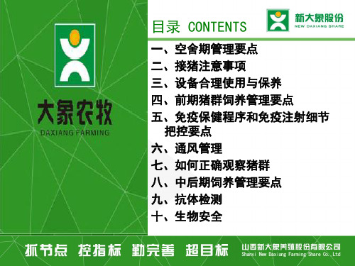 放养育肥猪标准生产程序