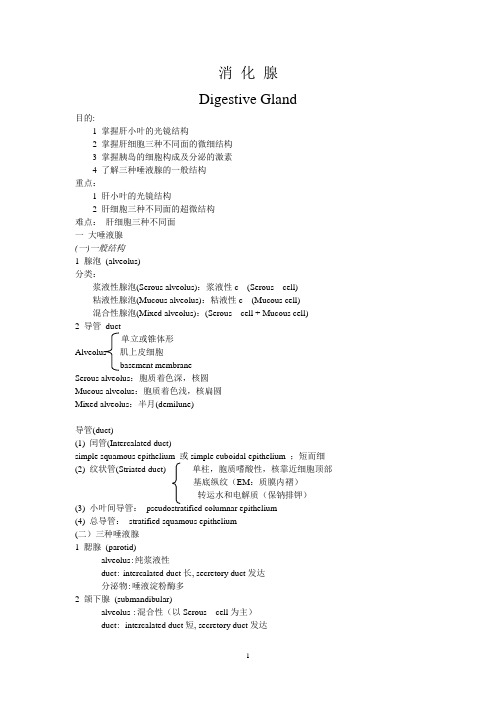 掌握肝小叶的光镜结构