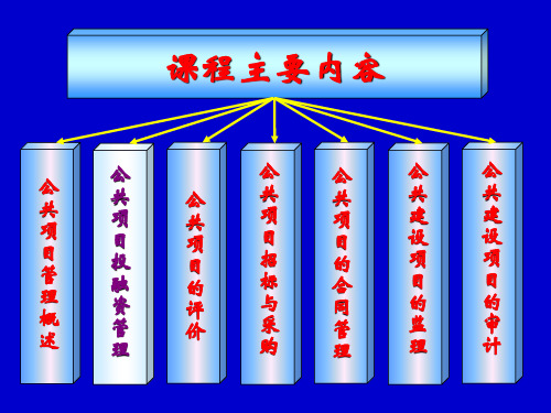 公共项目投融资管理.ppt