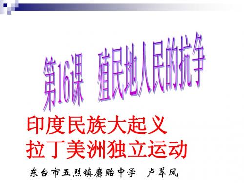 第16课殖民地人民的反抗