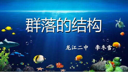群落的结构.ppt