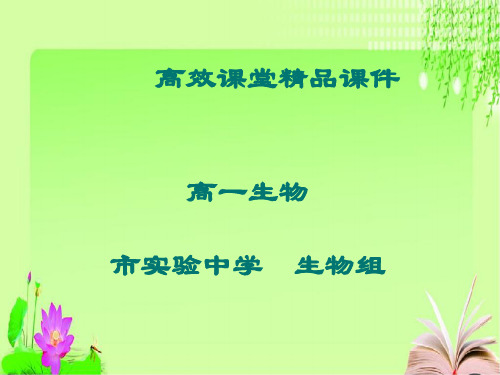 高一生物高效课堂资料6.1细胞的增殖