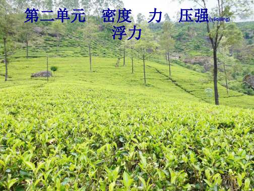 中考物理总复习优化设计第一板块教材知识梳理第二单元密度力压强浮力第6课时质量与密度