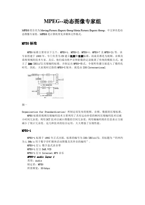MPEG-动态图像专家组