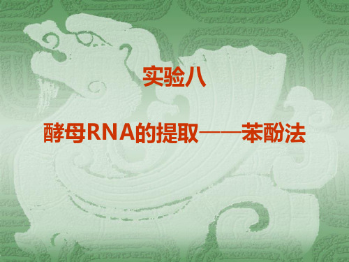 实验8 酵母RNA的提取----苯酚法-20090301