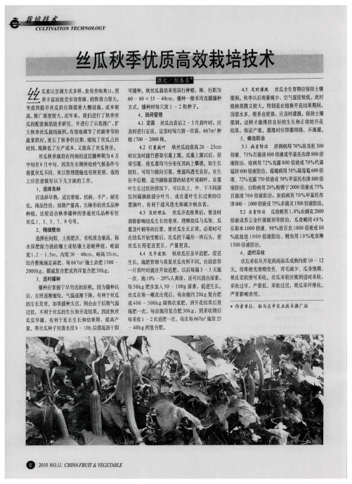 丝瓜秋季优质高效栽培技术