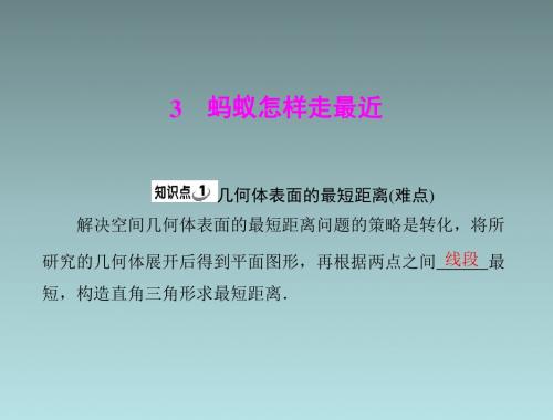 数学：第一章-3《蚂蚁怎样走最近》(北师大版八年级)