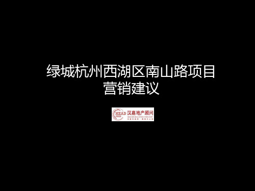 杭州西湖区南山路房地产项目营销建议