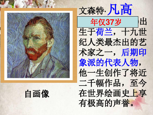 红虾  课件
