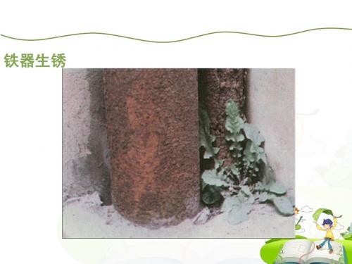 《化学变化伴随的现象》